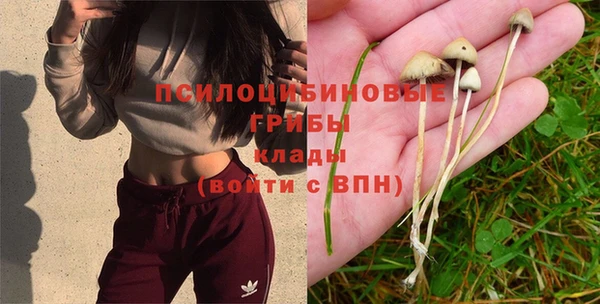 метамфетамин Аркадак